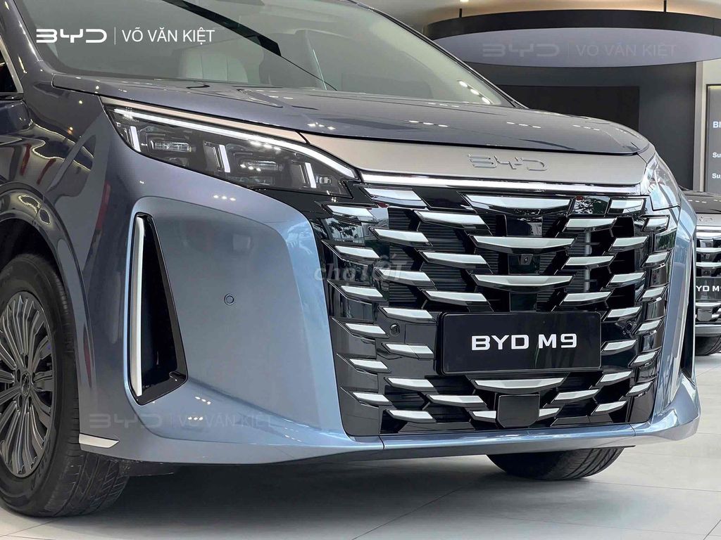 BYD - ảnh 3