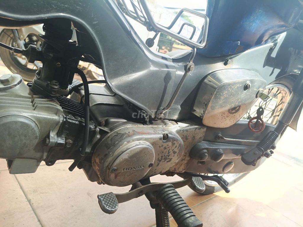 Honda Cub 1981 - ảnh 3