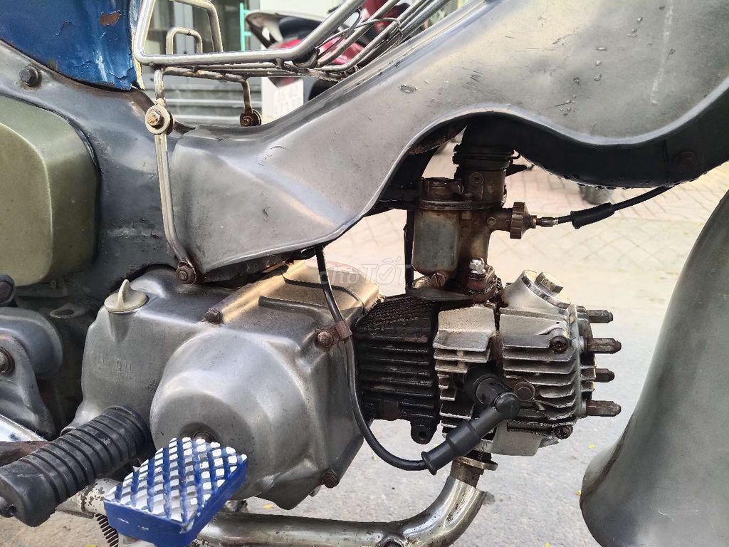 Honda Cub 1981 - ảnh 5