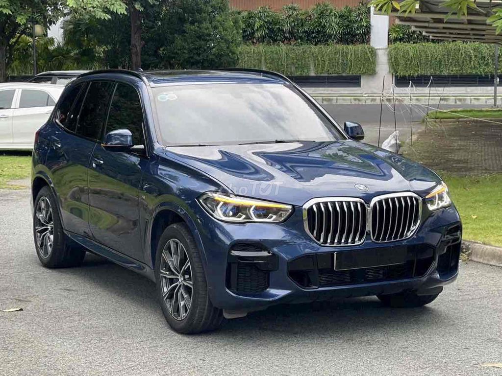 BMW X5 xDrive40i M Sport 2022 - ảnh 2