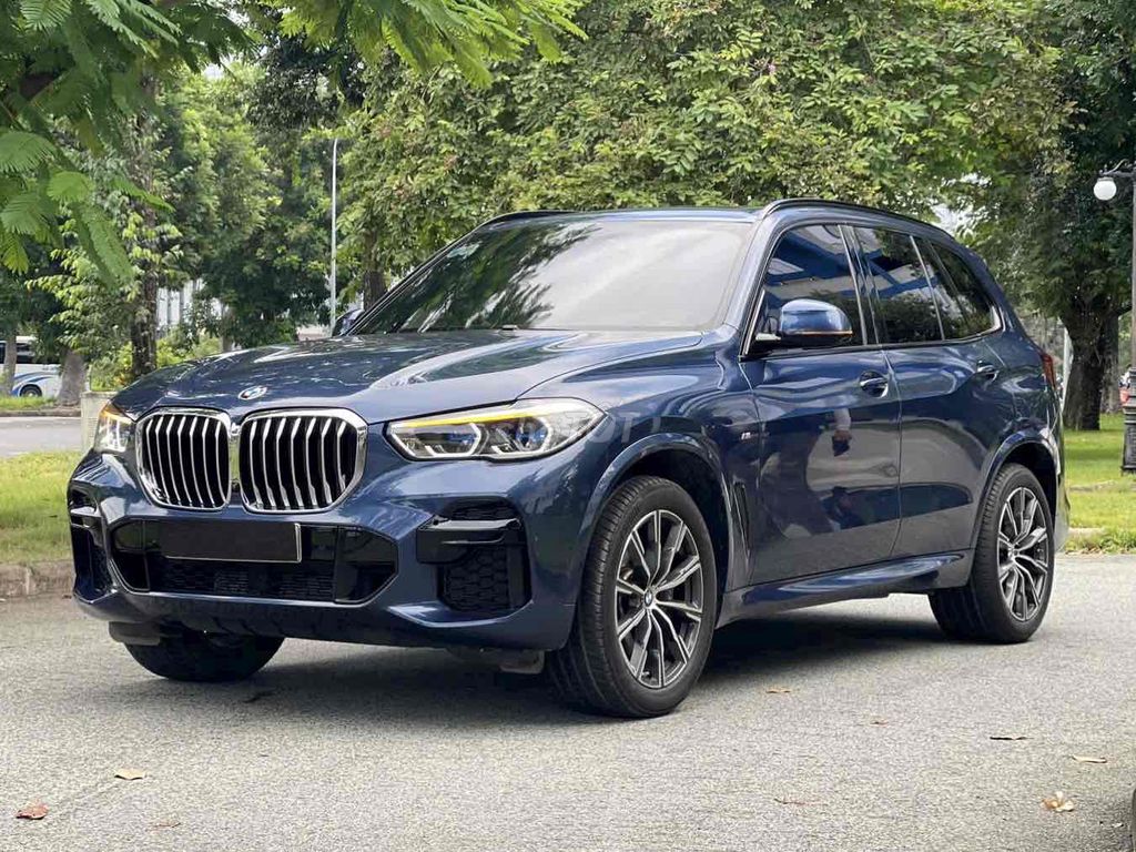 BMW X5 xDrive40i M Sport 2022 - ảnh 3
