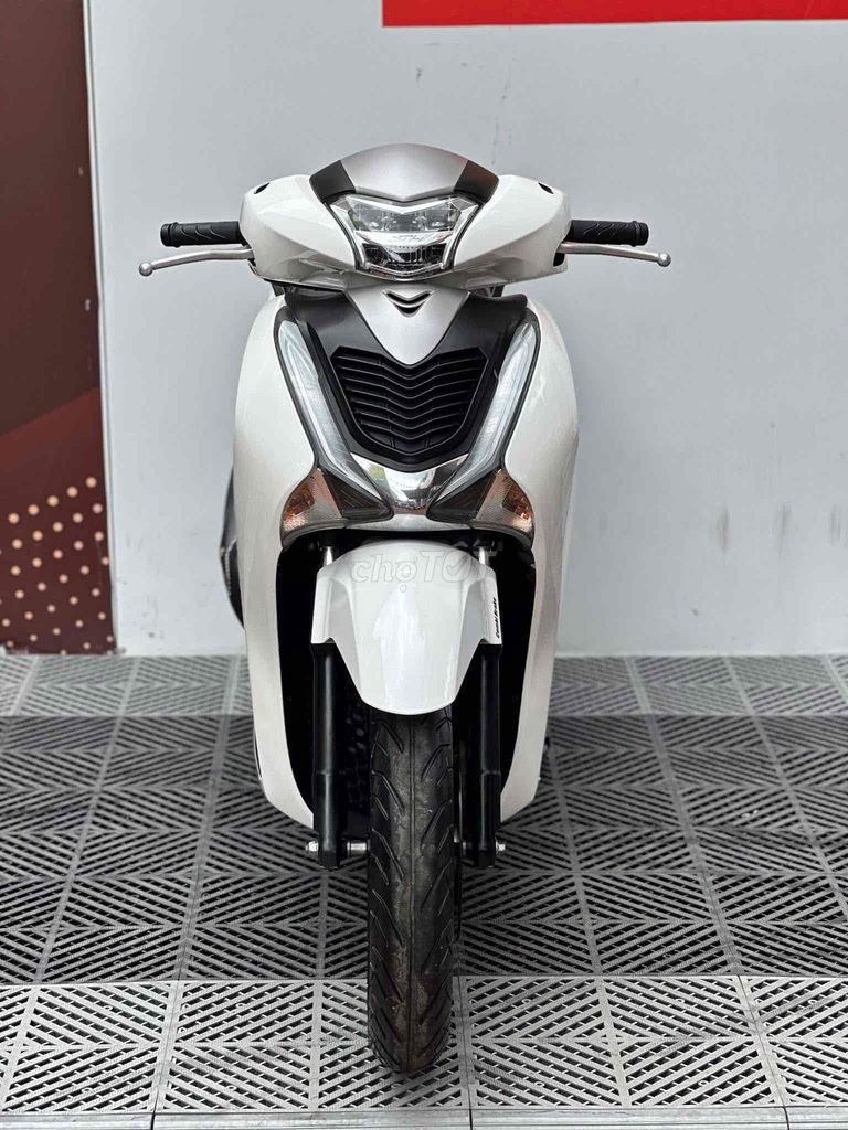 SH 2019 - ảnh 1