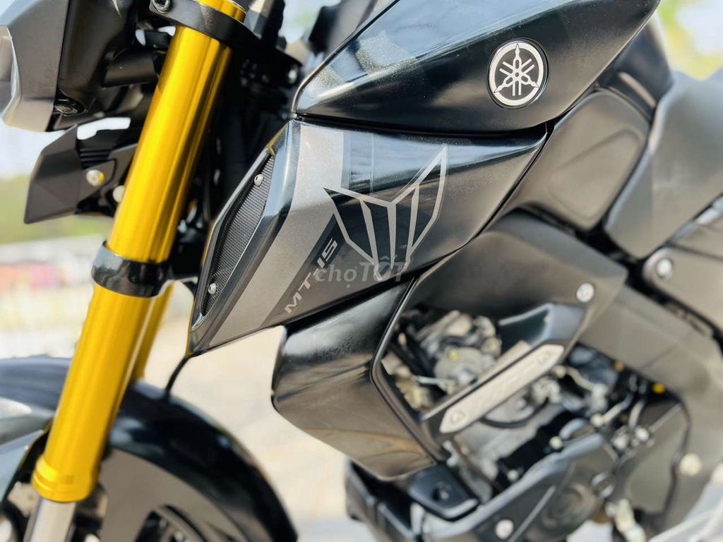 Yamaha MT 2022 - ảnh 1