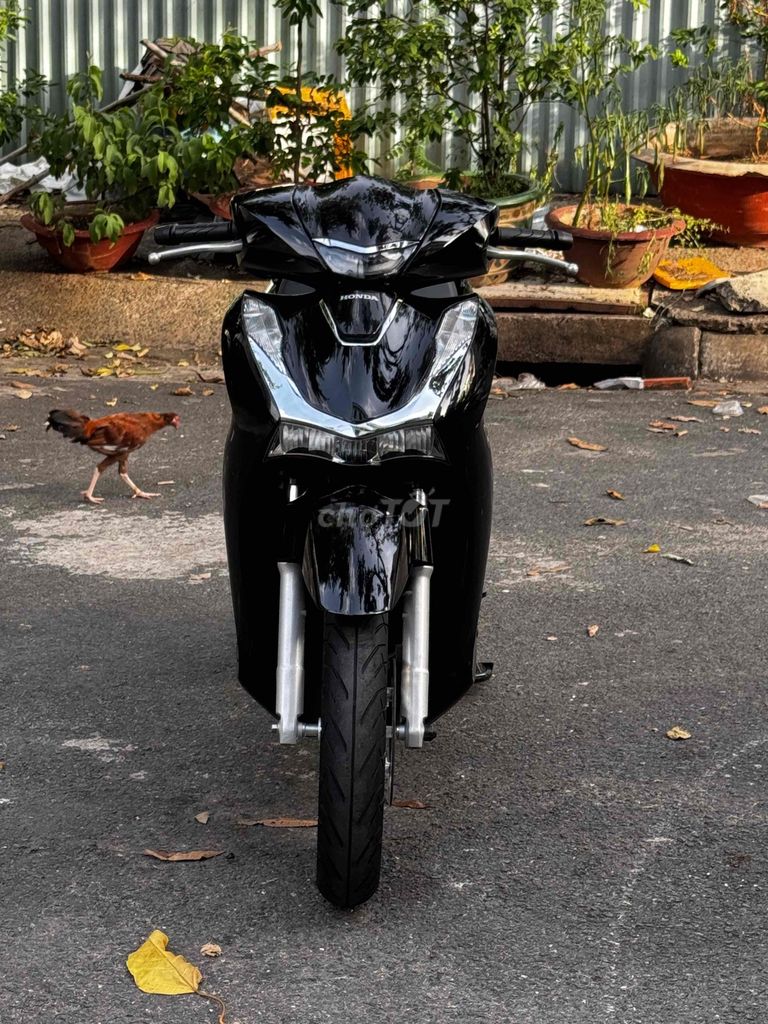 Honda SH 2024 - ảnh 3