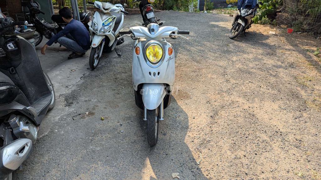 xe m 2014 - ảnh 1