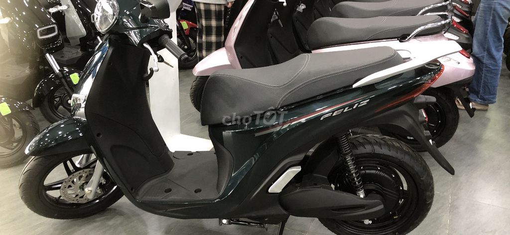 Xe m 2025 - ảnh 1