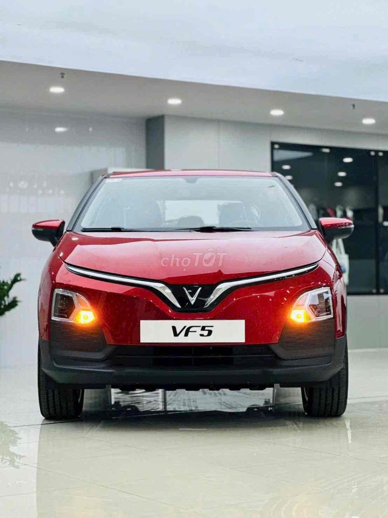 VinFast VF5 Plus - ảnh 2