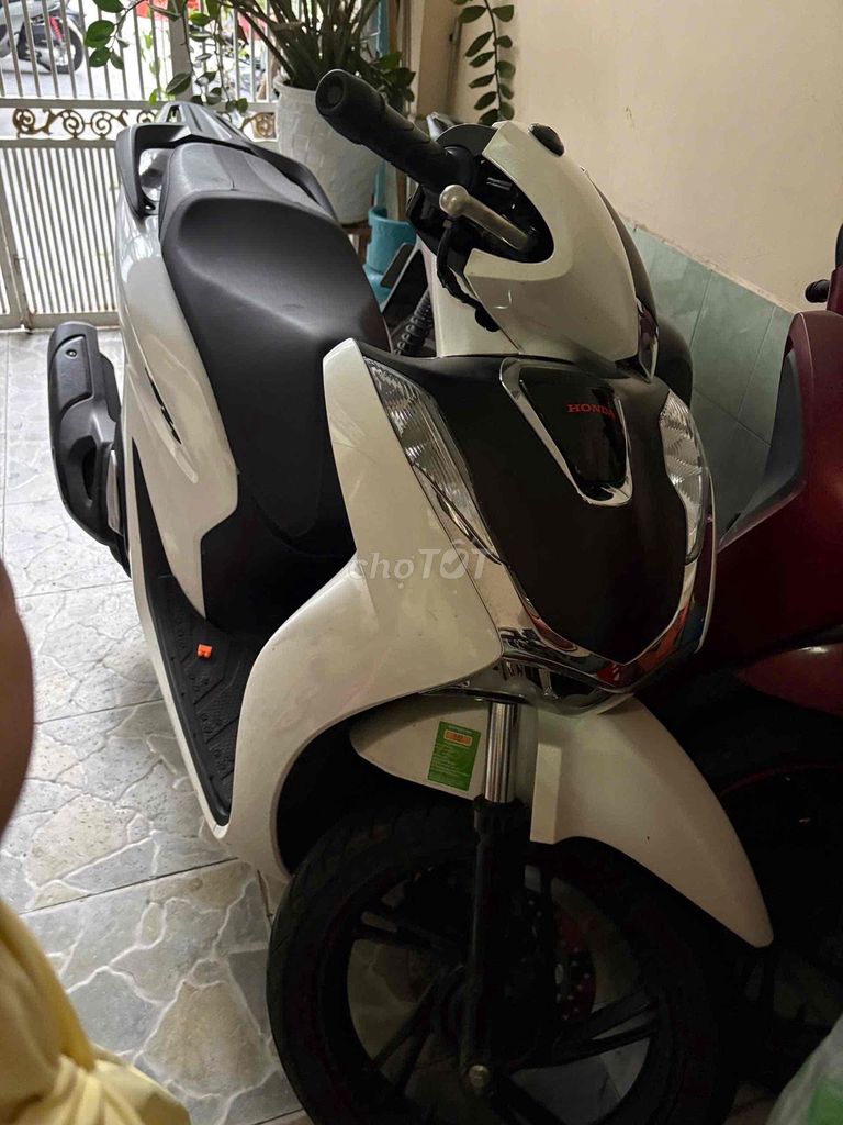 Honda SH 2024 - ảnh 1