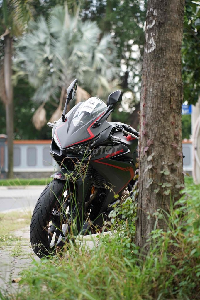 Honda 2019 - ảnh 2