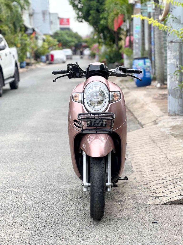 HONDA SCOOPY 2019 - ảnh 2