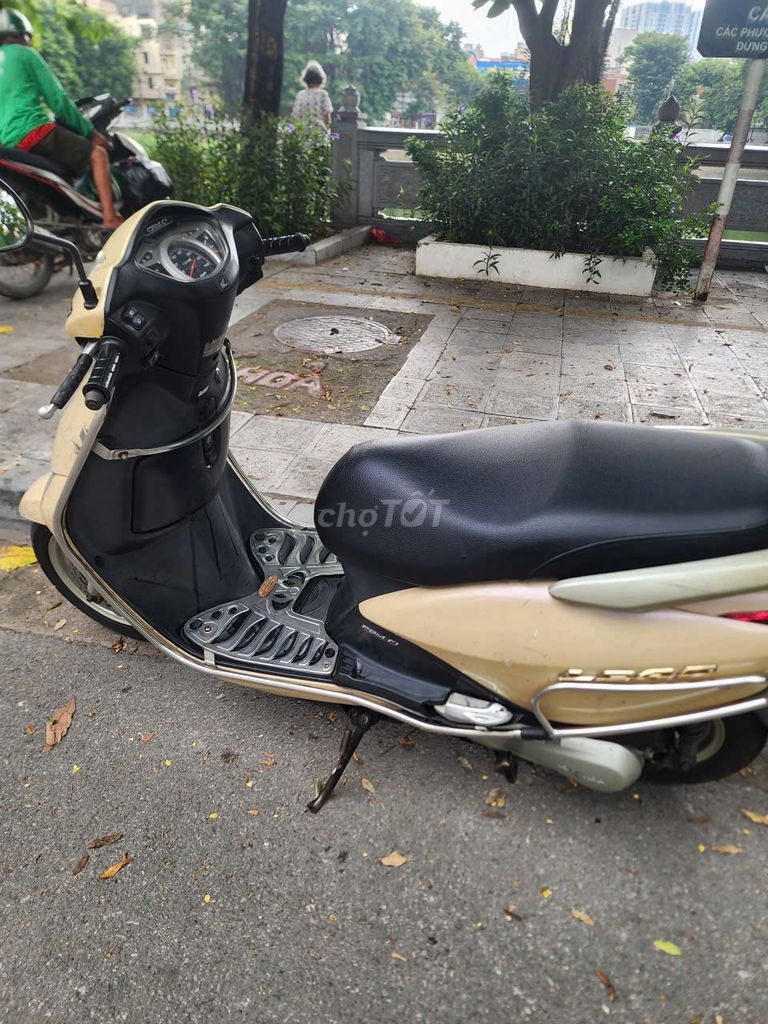 Honda Lead 2011 - ảnh 3