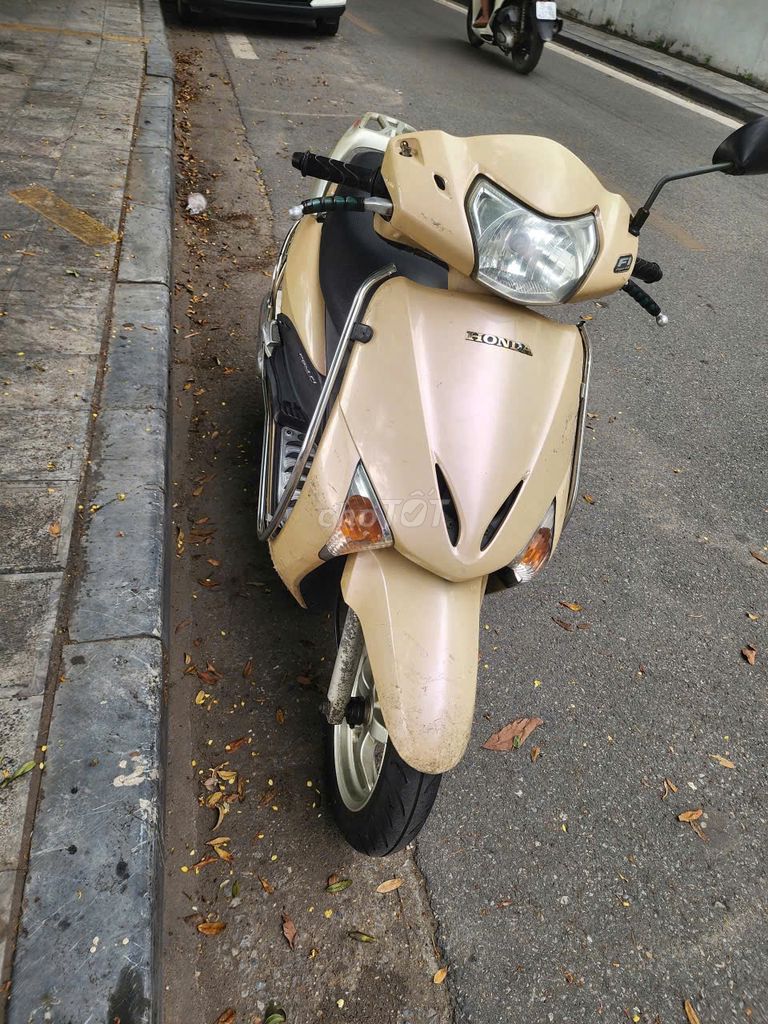 Honda Lead 2011 - ảnh 5