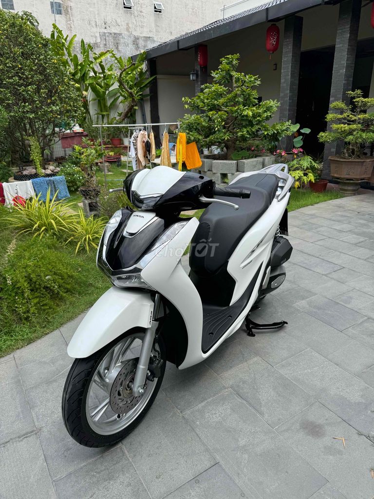 SH 2025 - ảnh 5