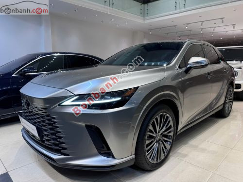 Lexus RX 350 Luxury 2024 - ảnh 2