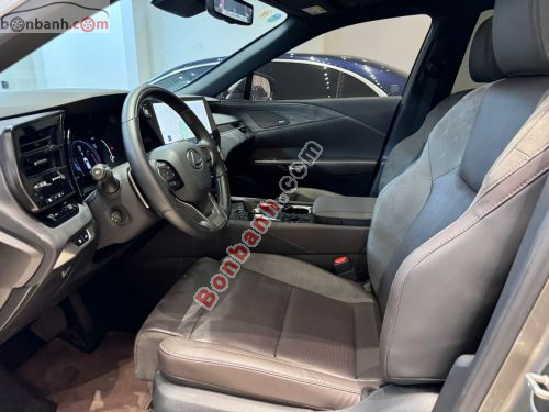 Lexus RX 350 Luxury 2024 - ảnh 5