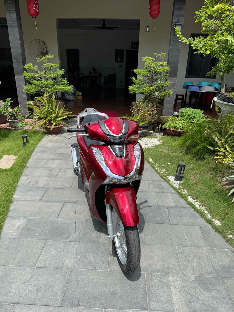 SH 2024 - ảnh 1