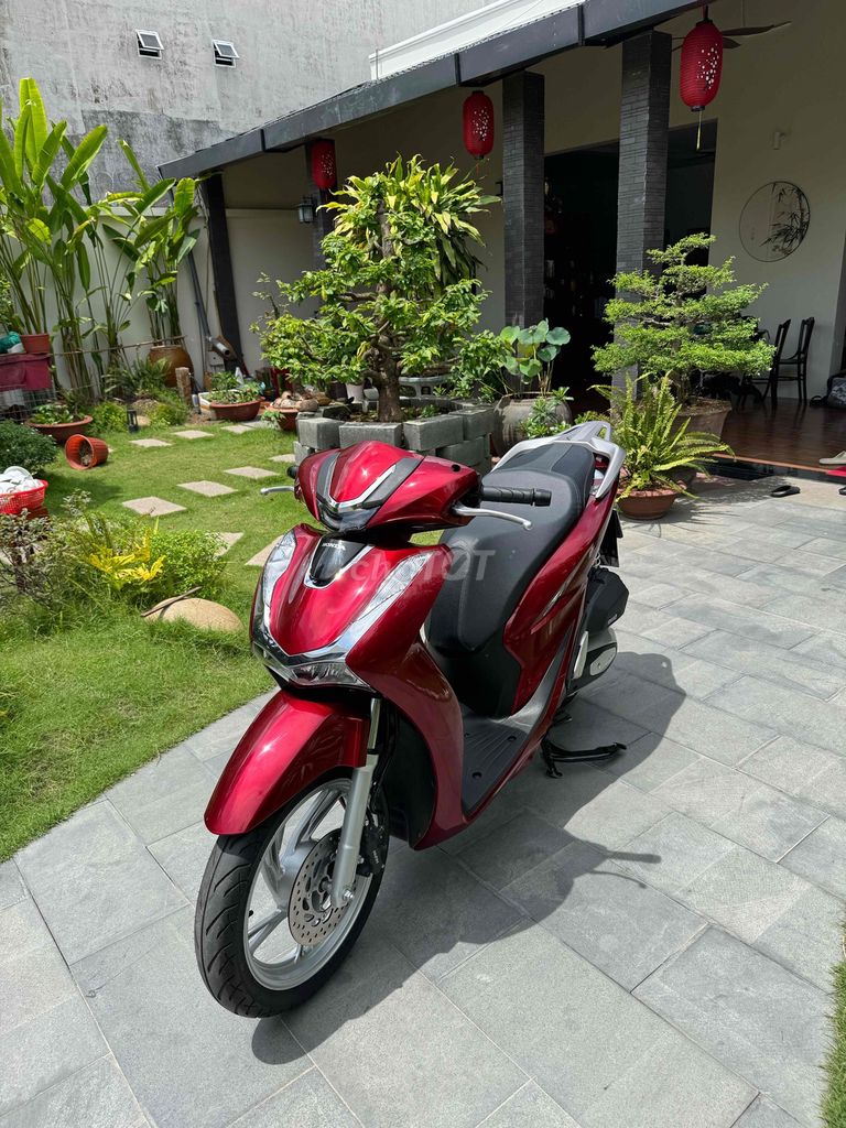 SH 2024 - ảnh 2
