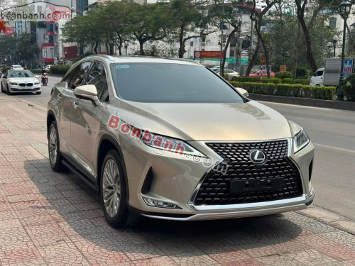 Lexus RX 300 2021 - ảnh 1