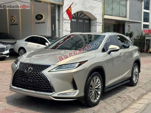 Lexus RX 300 2021 - ảnh 3
