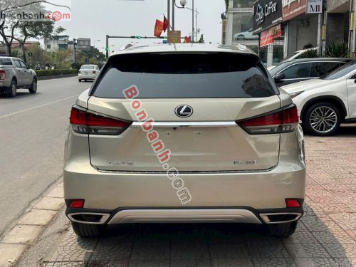 Lexus RX 300 2021 - ảnh 4