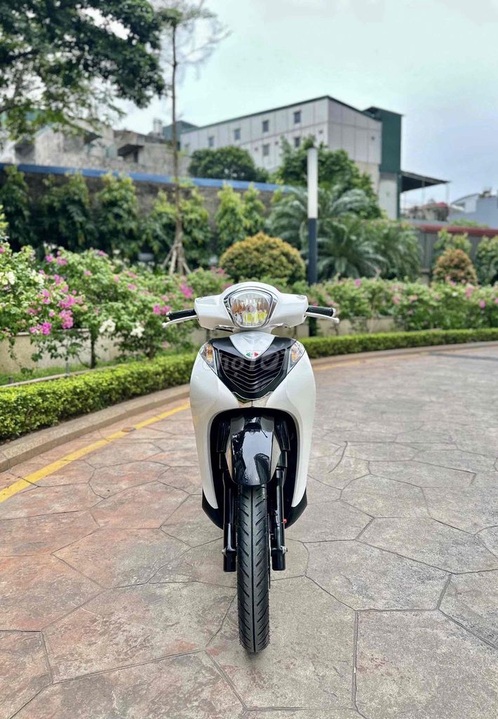 Honda SH Mode 2019 - ảnh 4