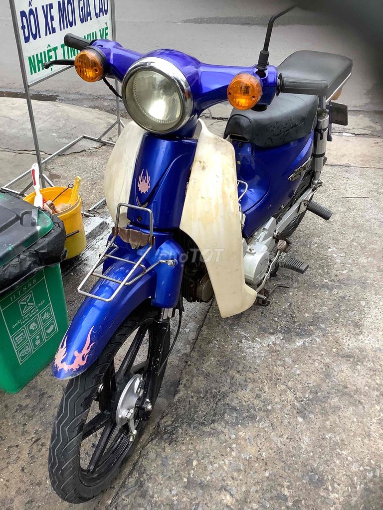Cub 2019 - ảnh 1