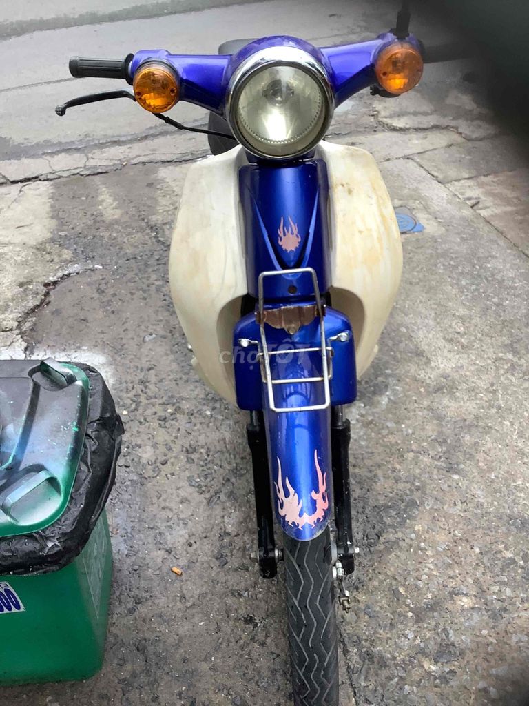 Cub 2019 - ảnh 3