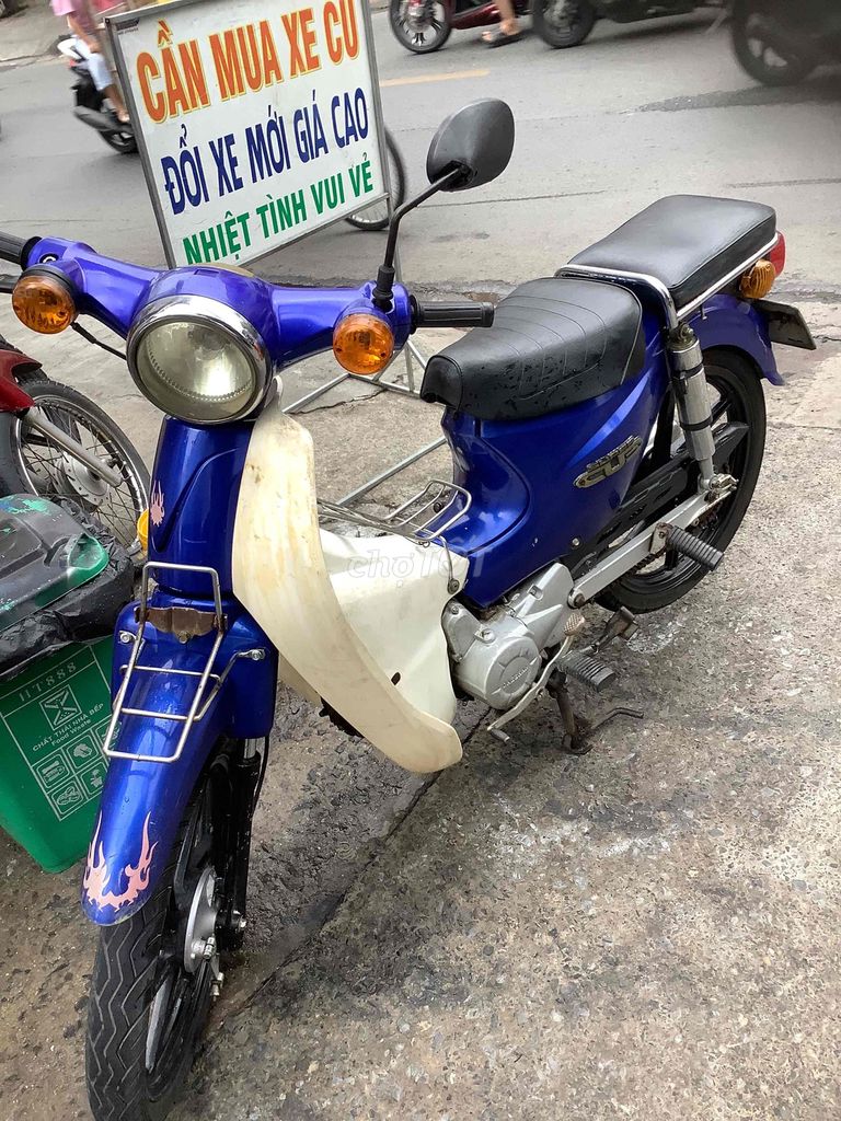 Cub 2019 - ảnh 4