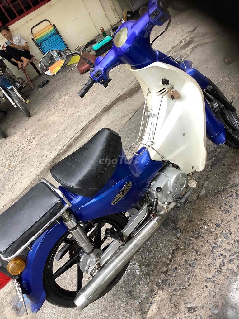 Cub 2019 - ảnh 5
