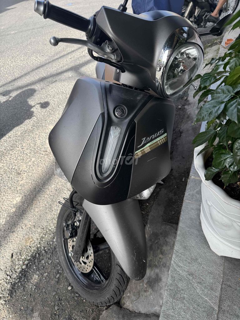 Yamaha Janus 2024 - ảnh 1