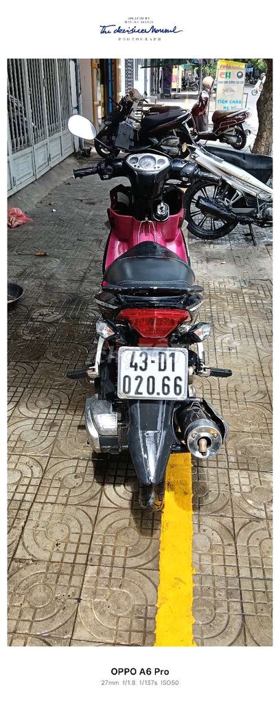 CẦN B 2011 - ảnh 4