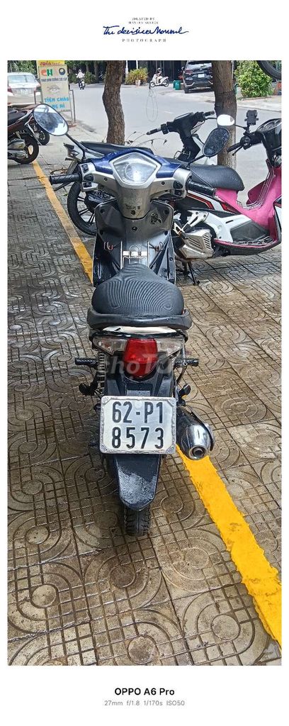 CẦN B 2010 - ảnh 4