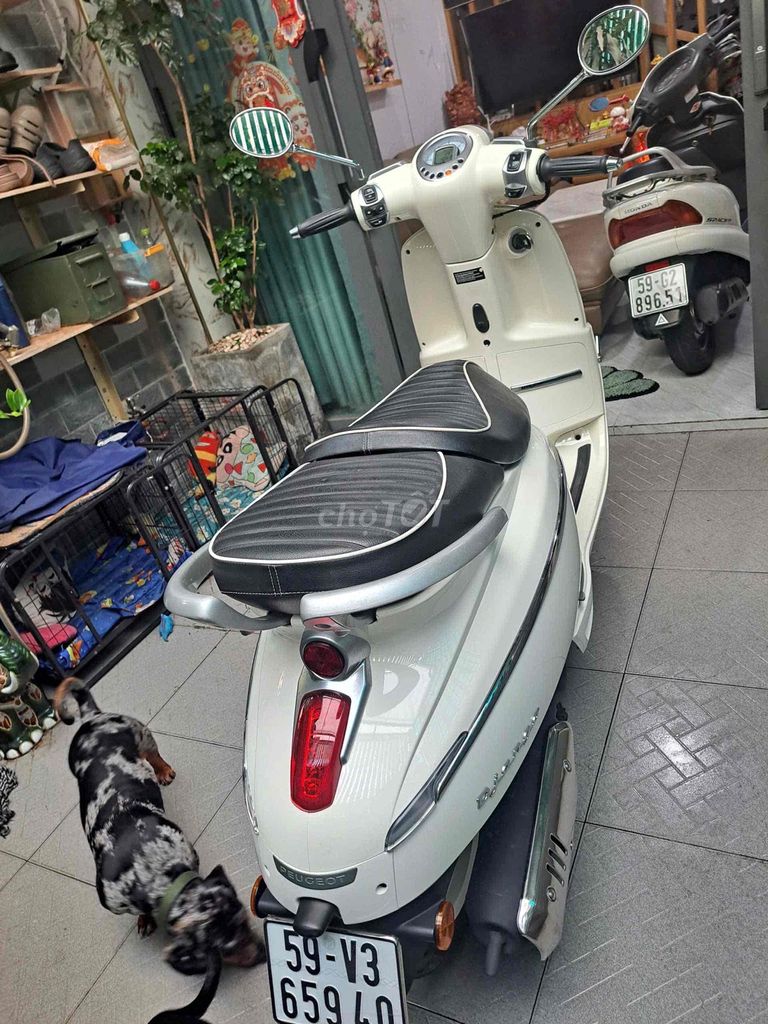 Peugeot Django 2022 - ảnh 2