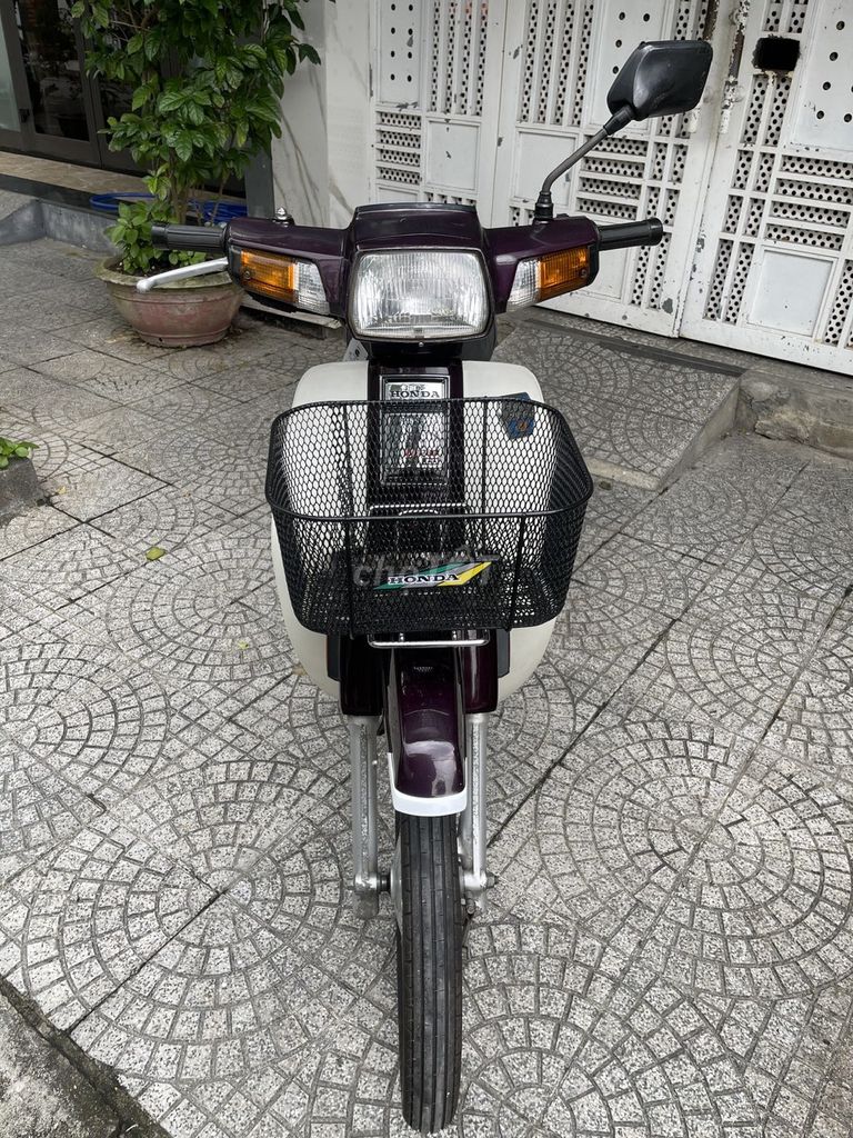 Honda Dream 1998 - ảnh 1
