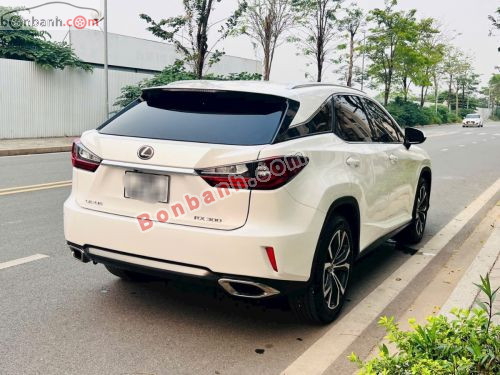 Lexus RX 300 2019 - ảnh 2