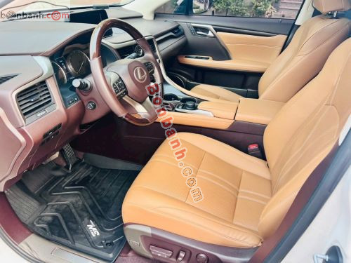 Lexus RX 300 2019 - ảnh 3