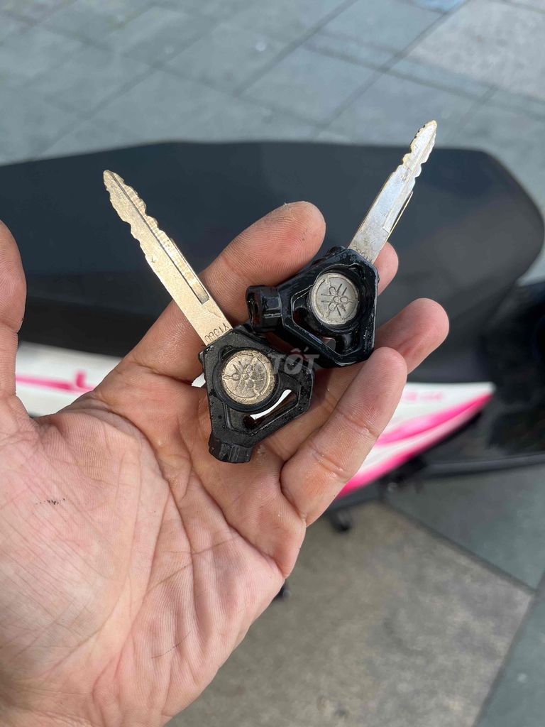 Yamaha Luvias 2012 - ảnh 1