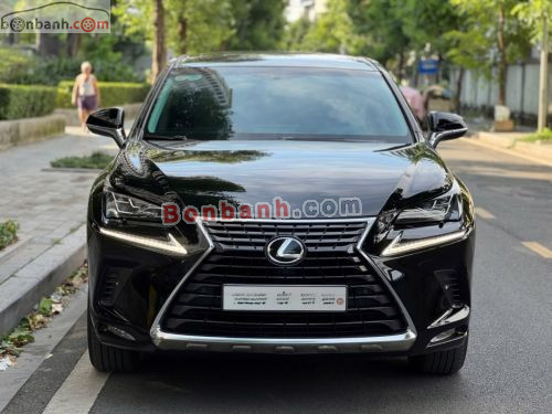 Lexus NX 300 2017 - ảnh 1