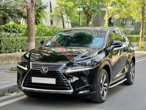 Lexus NX 300 2017 - ảnh 2