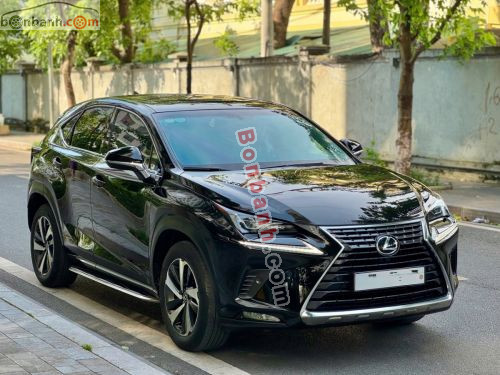 Lexus NX 300 2017 - ảnh 3