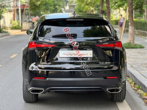 Lexus NX 300 2017 - ảnh 4