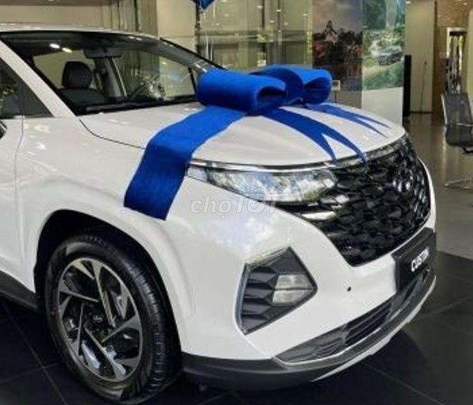 Hyundai Custin - ảnh 1