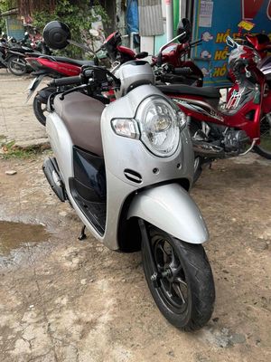 Honda Scoopy 2019 - ảnh 1