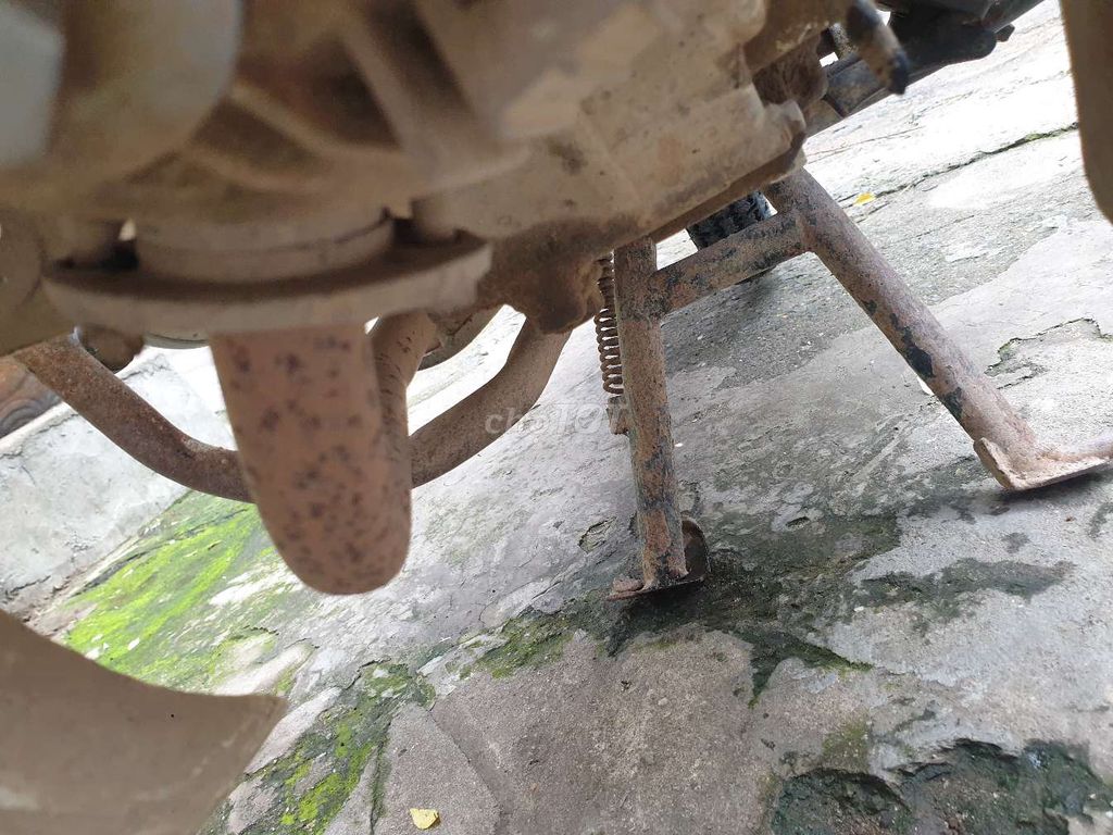 Honda Dream 2001 - ảnh 4