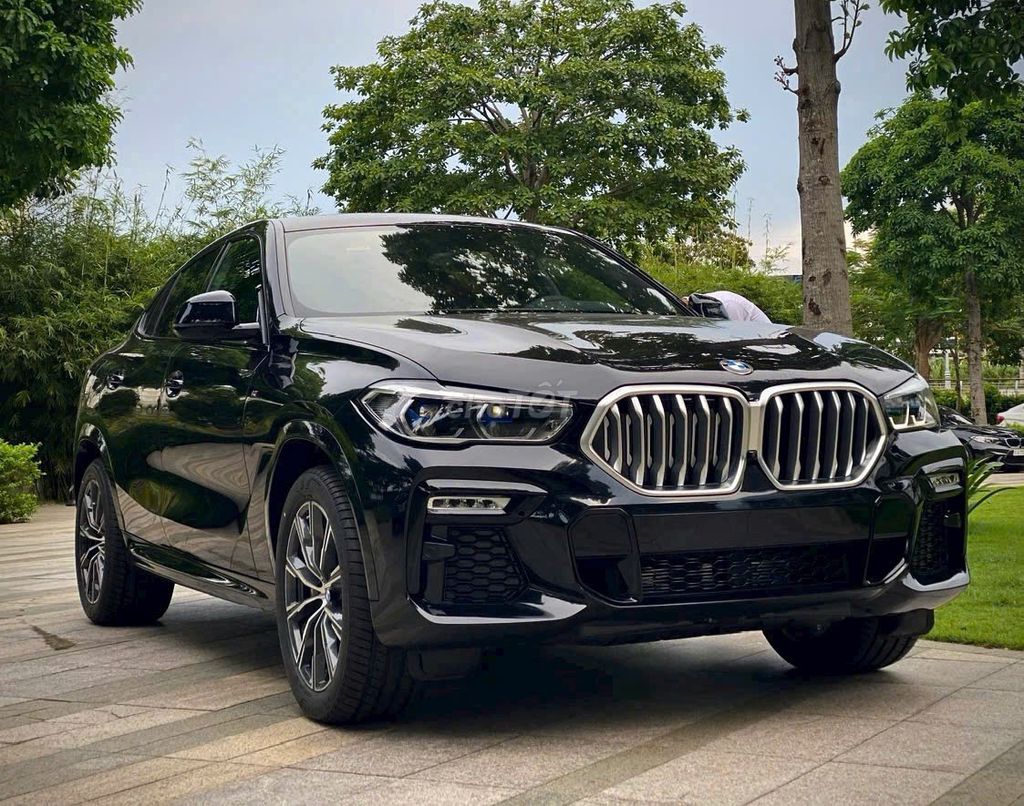 BMW X6 2023 - ảnh 1