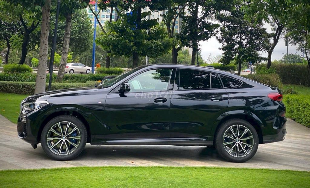 BMW X6 2023 - ảnh 2