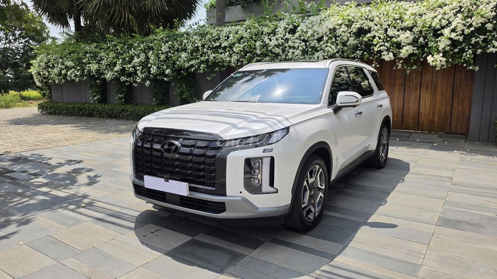 Hyundai Palisade - ảnh 1