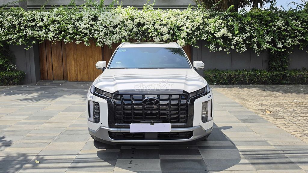 Hyundai Palisade - ảnh 2