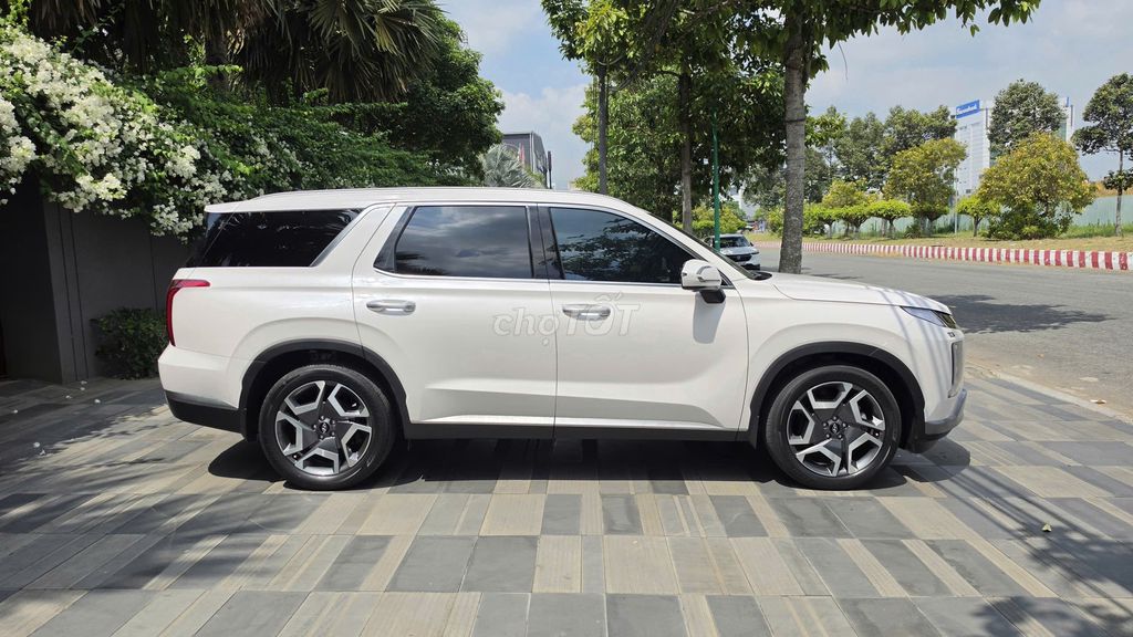 Hyundai Palisade - ảnh 3