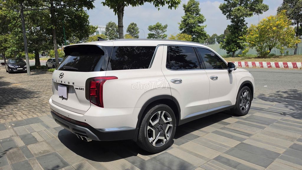 Hyundai Palisade - ảnh 4